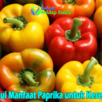 Ketahui Manfaat Paprika untuk Kesehatan