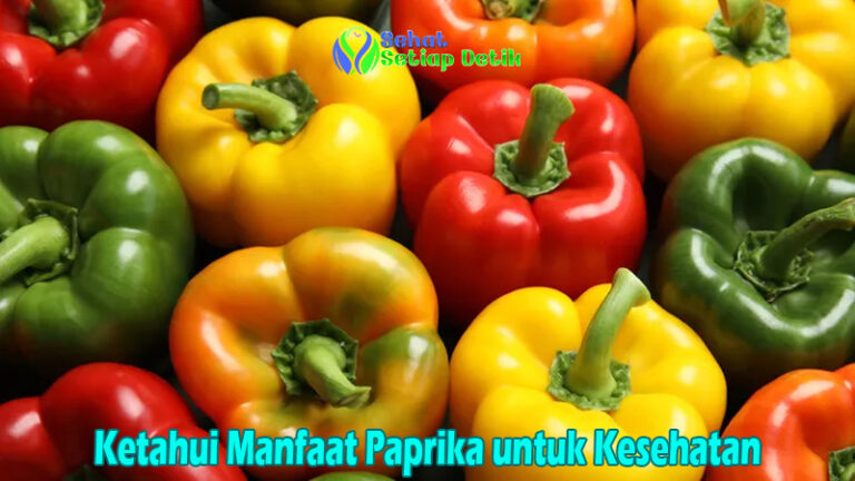 Ketahui Manfaat Paprika untuk Kesehatan