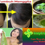 Cara Menyuburkan Rambut yang Mudah Dilakukan