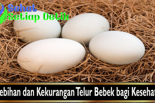 Kelebihan dan Kekurangan Telur Bebek bagi Kesehatan