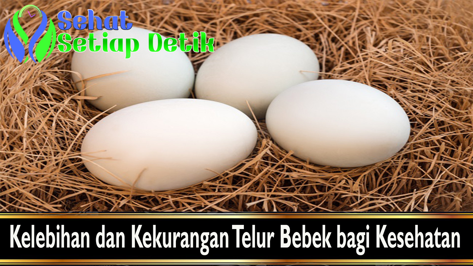 Kelebihan dan Kekurangan Telur Bebek bagi Kesehatan