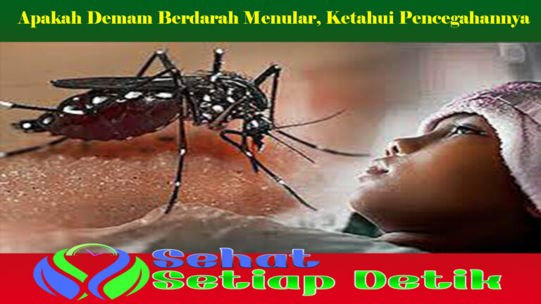 Apakah Demam Berdarah Menular, Ketahui Pencegahannya