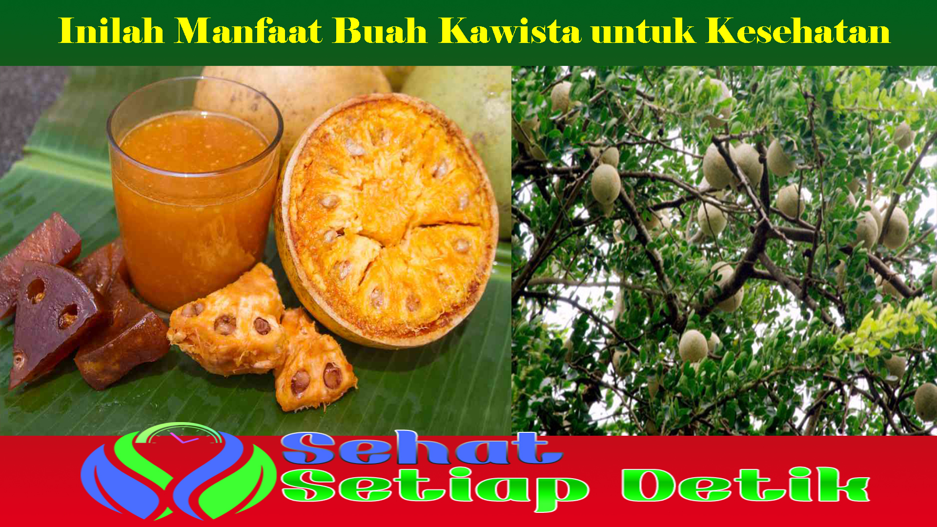 Inilah Manfaat Buah Kawista untuk Kesehatan 