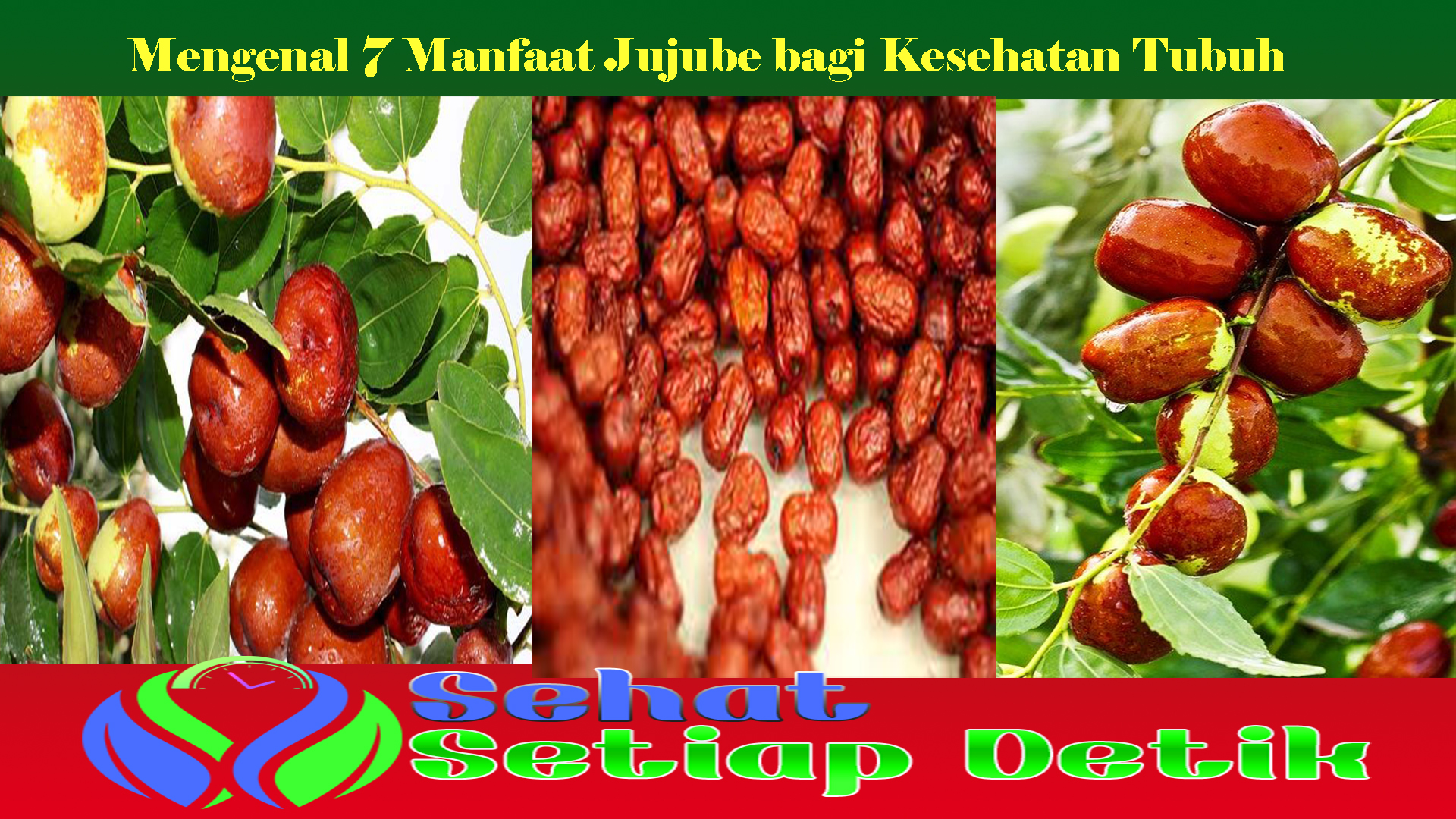 Mengenal 7 Manfaat Jujube bagi Kesehatan Tubuh