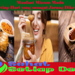Manfaat Minum Madu Setiap Hari yang sanagat Jarang Diketahui