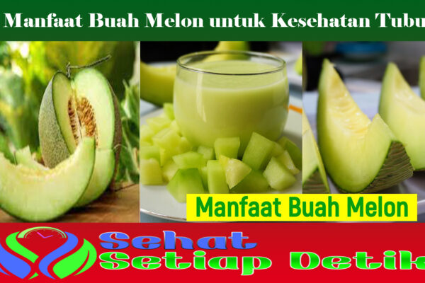 Manfaat Buah Melon untuk Kesehatan Tubuh