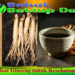 Manfaat Ginseng untuk Kesehatan Tubuh