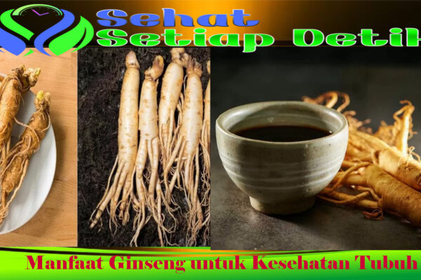 Manfaat Ginseng untuk Kesehatan Tubuh