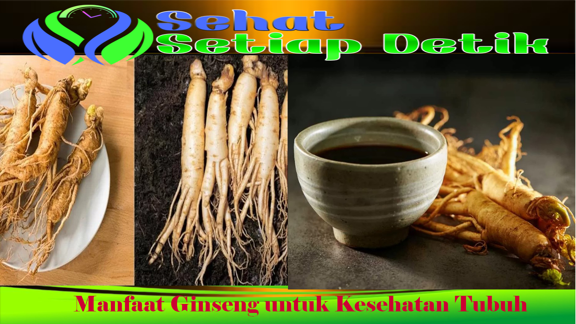 Manfaat Ginseng untuk Kesehatan Tubuh