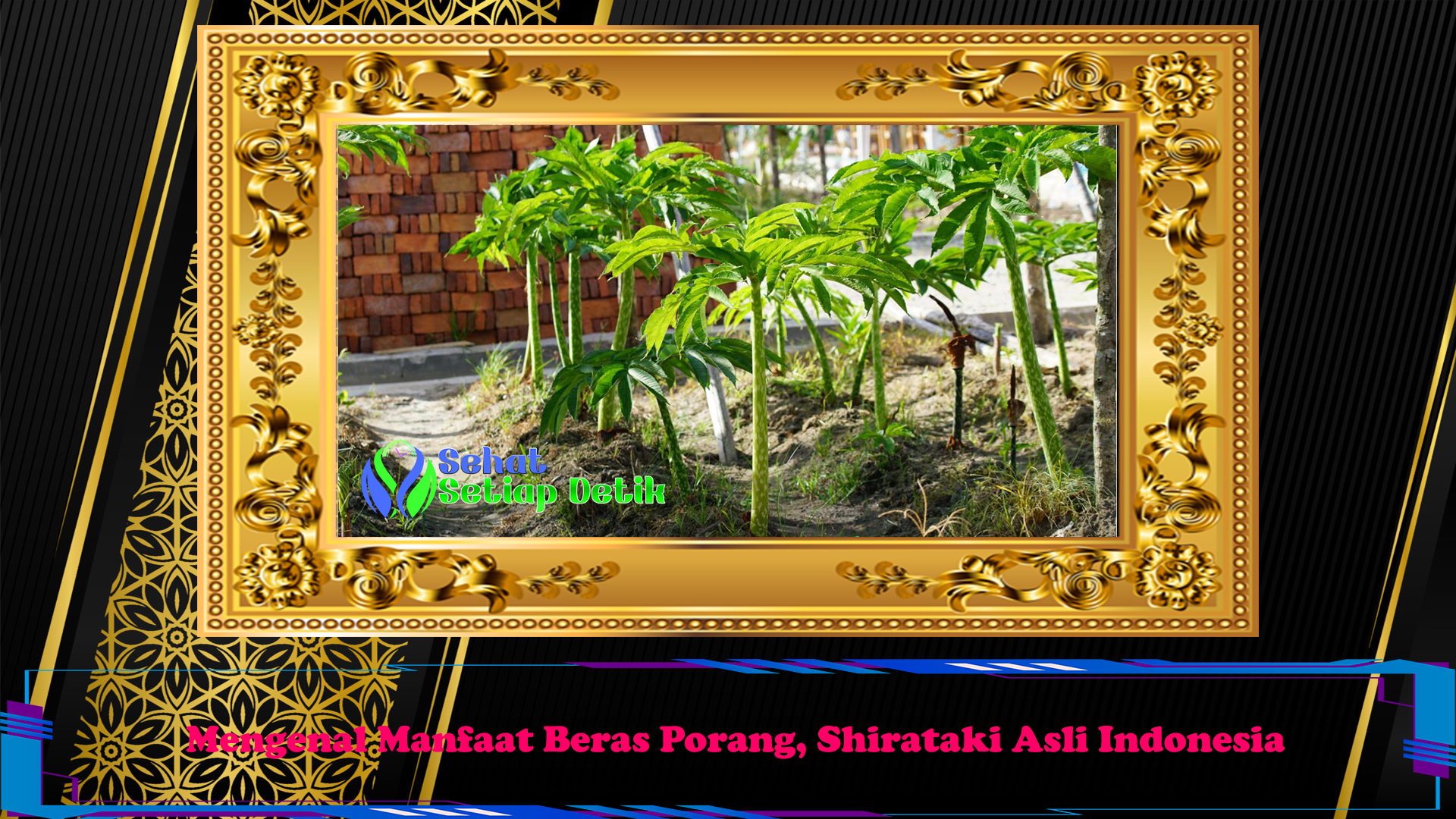 Mengenal Manfaat