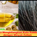 Cara Menghilangkan Kutu Rambut dengan Minyak Zaitun