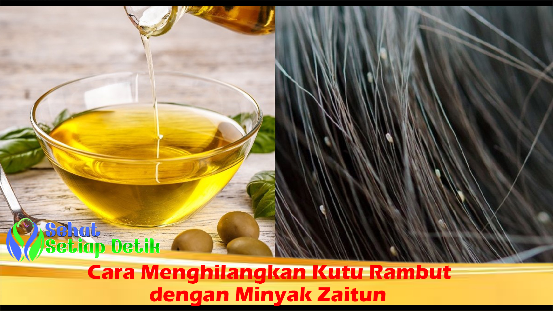 Cara Menghilangkan Kutu Rambut dengan Minyak Zaitun