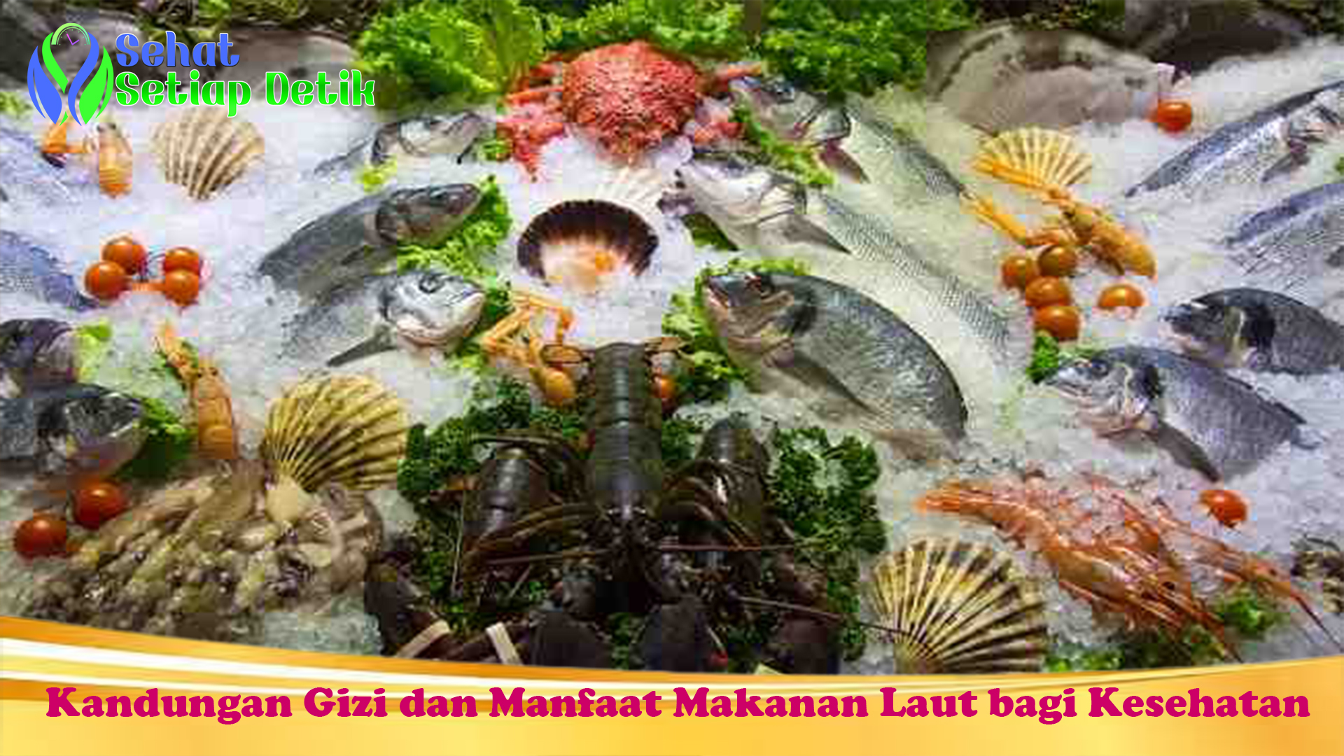 Kandungan Gizi dan Manfaat Makanan Laut bagi Kesehatan