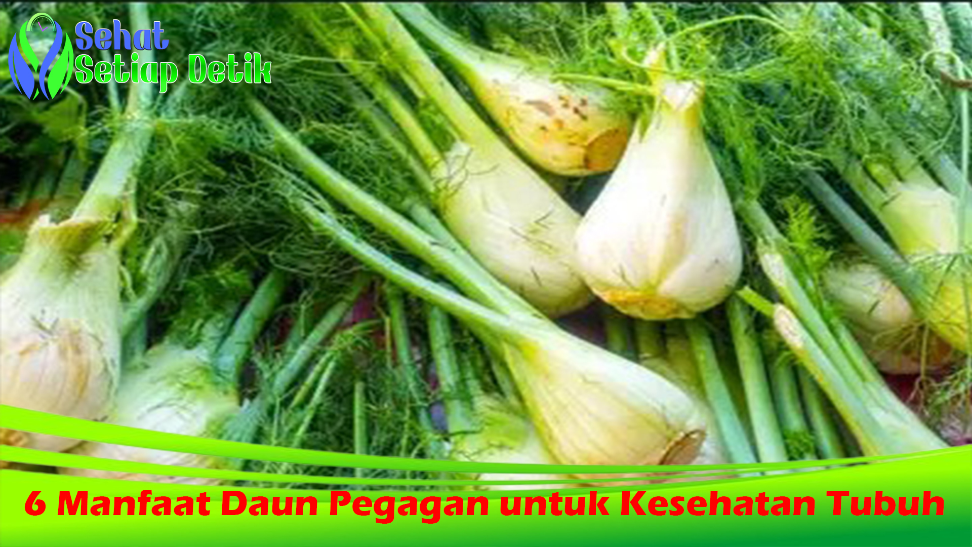6 Manfaat Daun Pegagan untuk Kesehatan Tubuh