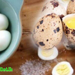 Telur Puyuh: Kaya Nutrisi dan Manfaat Kesehatan yang Luar Biasa