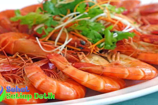 jumlah protein udang dan ragam manfaatnya