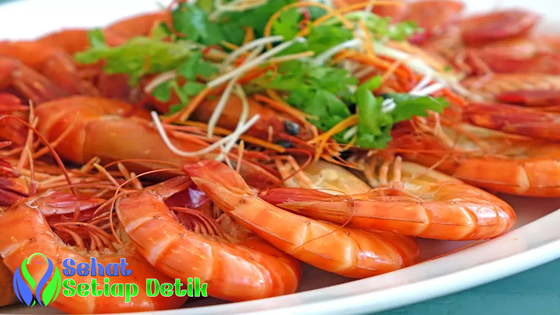 jumlah protein udang dan ragam manfaatnya