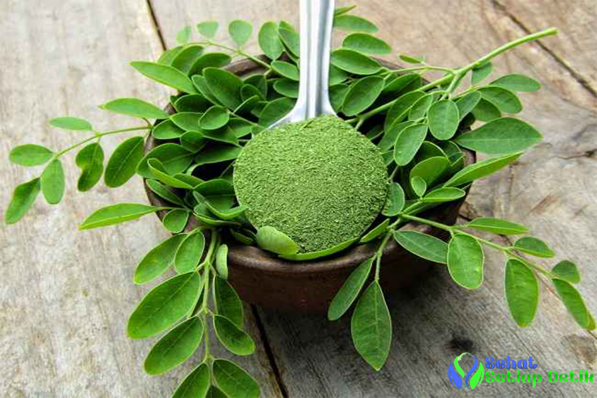 Khasiat Daun Kelor untuk Kesehatan - Daun kelor (Moringa oleifera) telah lama dikenal sebagai tanaman se gudang manfaat bagi kesehatan.